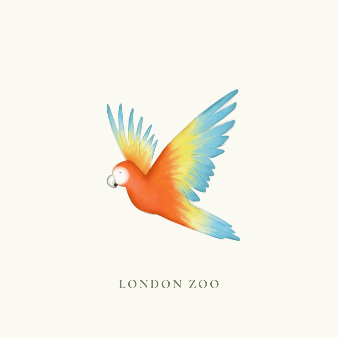 London Zoo ! 